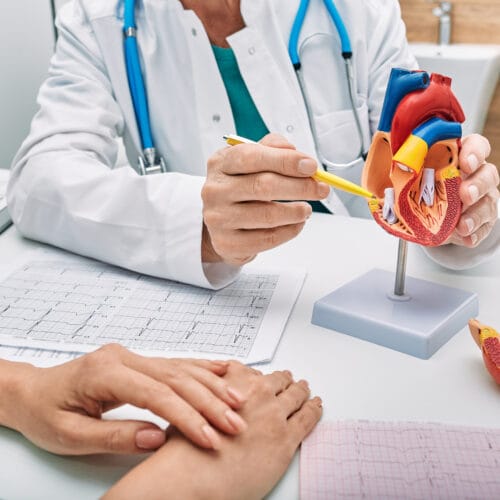 Doctor pointing at a 3D heart model with a pen during a consultation, with EKG results and a patient’s hands visible on the desk.
